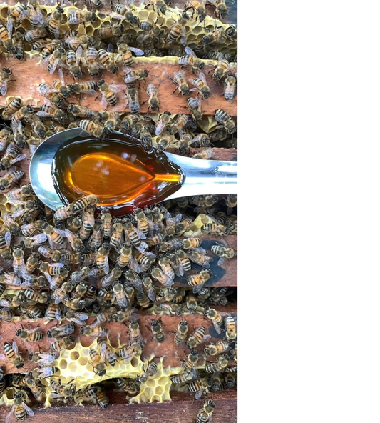 🍯 Small Bee Honey – Pure & Natural (1 Liter)