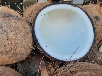 Pure Coconut Oil – Natural &amp; Multi-Purpose (1 Liter)